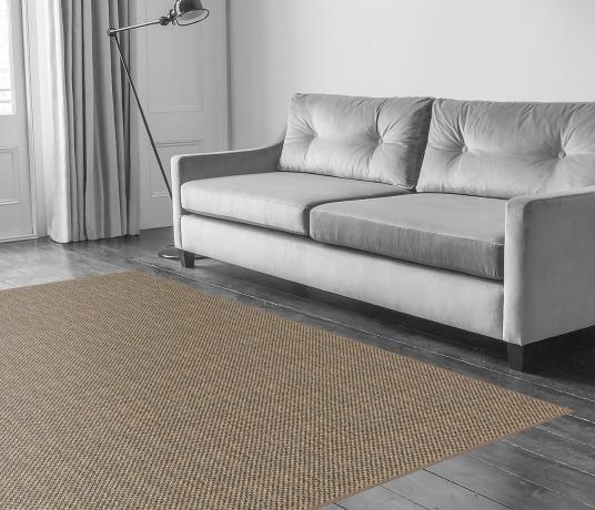 Sisal Malay Beijing Carpet 2545 in Living Room
