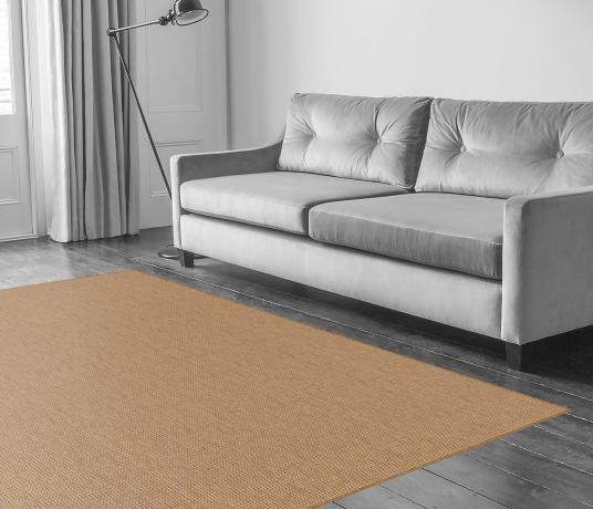 Anywhere Rope Natural Carpet 8060 in Living Room