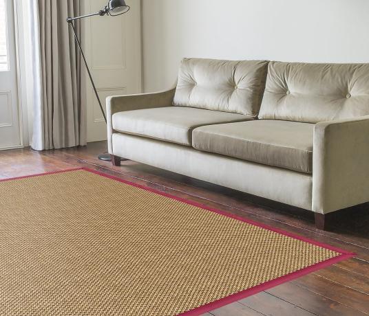 Louise Sisal Rug in Living Room