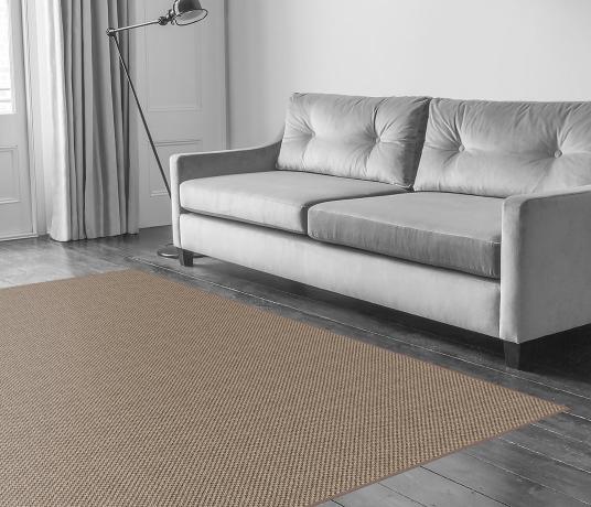 Sisal Malay Shanghai Carpet 2527 in Living Room