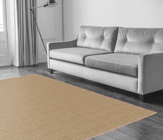 Seagrass Natural Carpet 2101 in Living Room